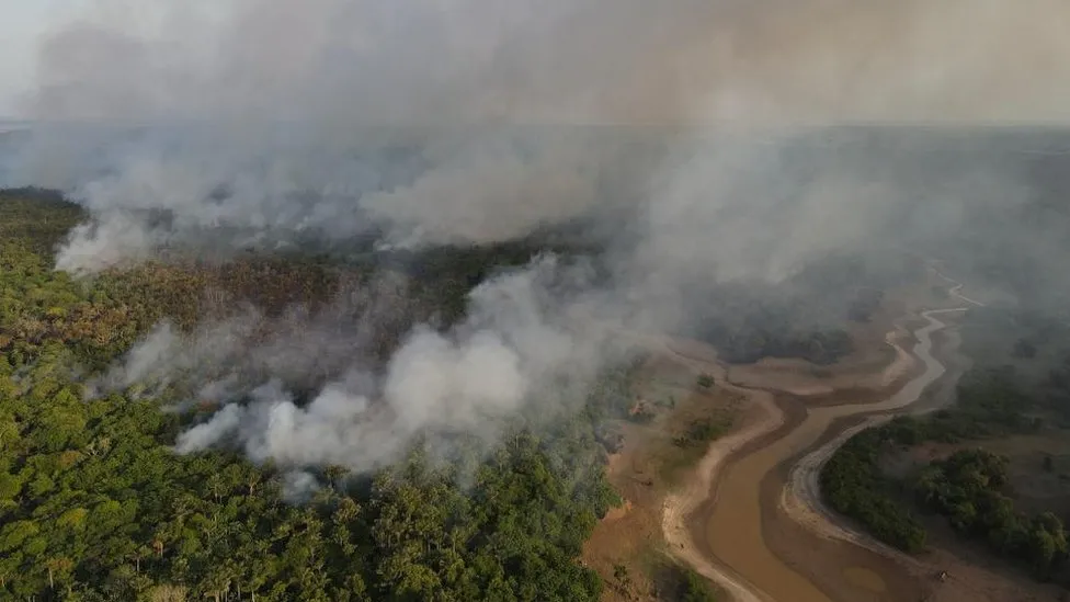 Crisis del Cambio Climático de Amazon