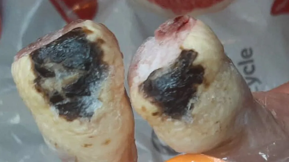 Fowl Play: Supermercado Pollos quemados por el Excremento