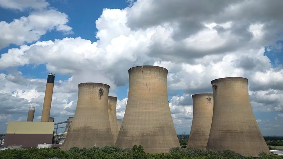 Shortage: UK Power Station Burning Rare Forest Wood
